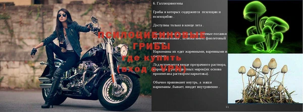 герыч Белокуриха