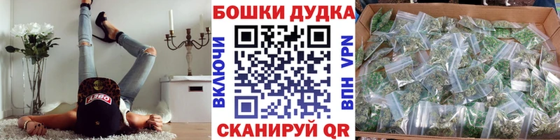 Бошки марихуана планчик  KRAKEN рабочий сайт  Новотитаровская 